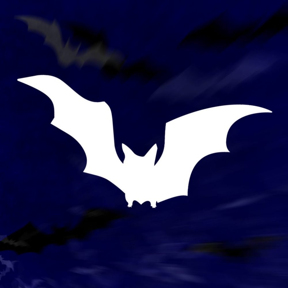 bats_brush