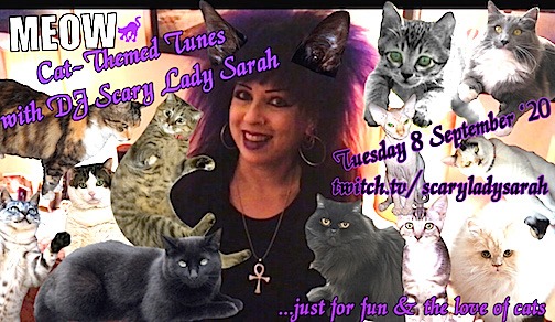 SEPT 8 – FELINE themed music on Twitch