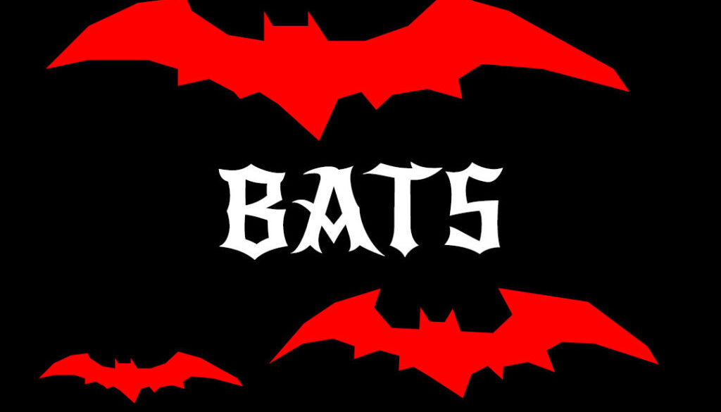 CN_13cd_03_bats