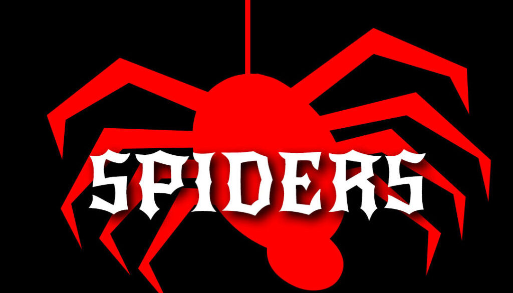 CN_13cd_03_spiders